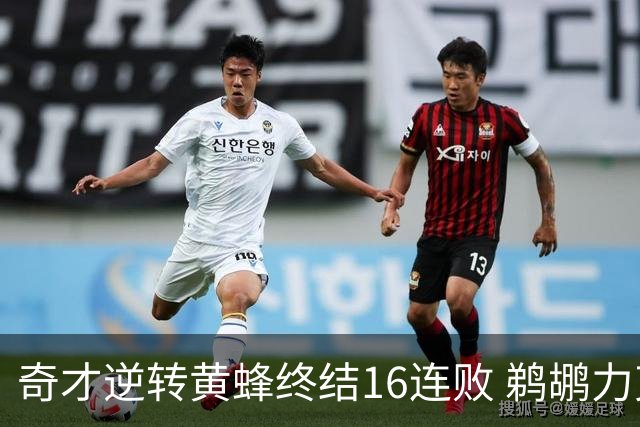 奇才逆转黄蜂终结16连败 鹈鹕力克76人3连胜